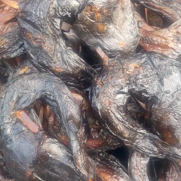 Freshly smoked catfish