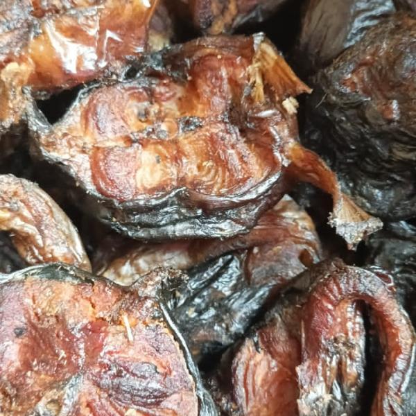 ODIKACHORO BULK PACK 🥰