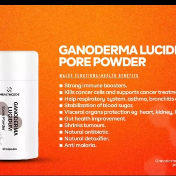 Ganodema lucidium spore powder